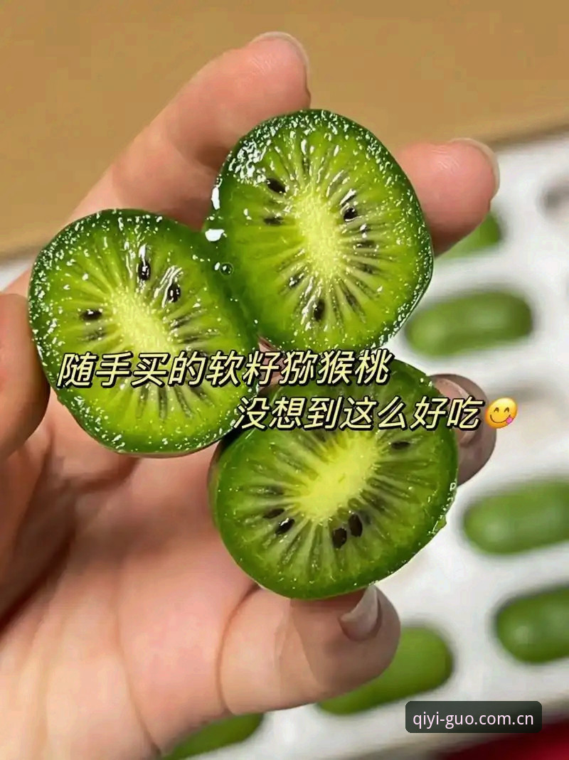 奇异果体育网址使用指南：官方APP下载vs网页版投注，哪种体验更胜一筹？