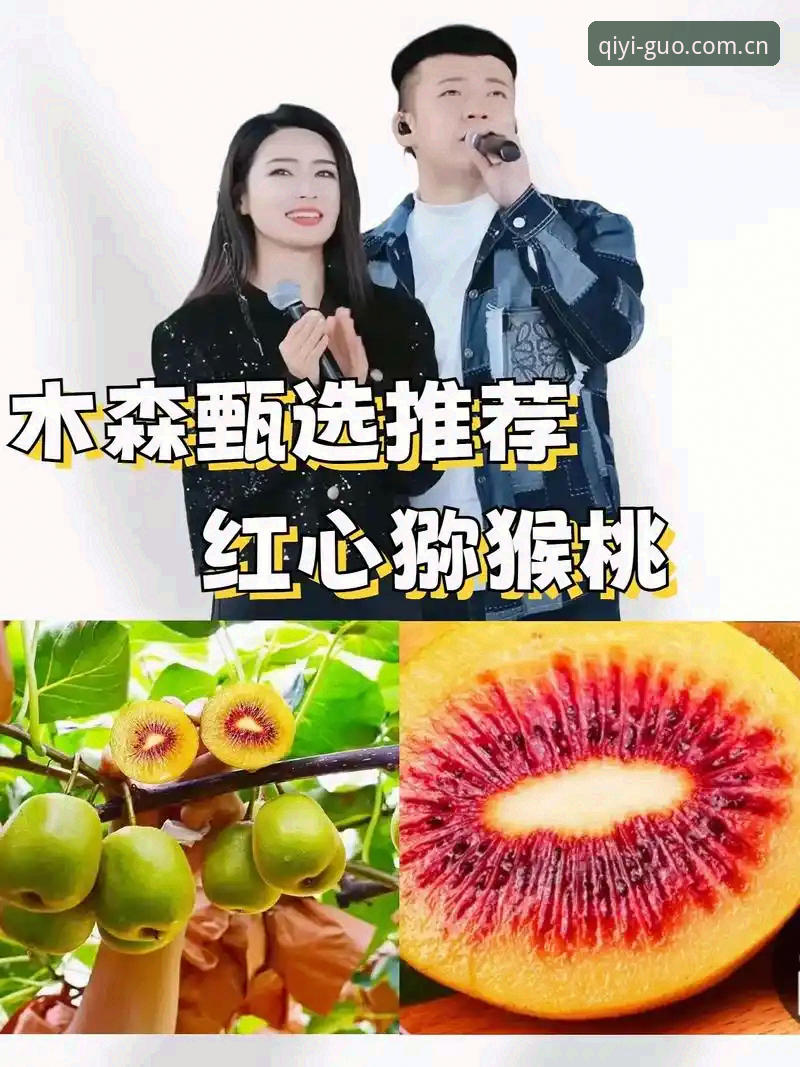 奇异果体育入口 奇异果体育平台2025新版使用指南:从下载入口到实战投注的完整攻略