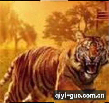 吴刚
