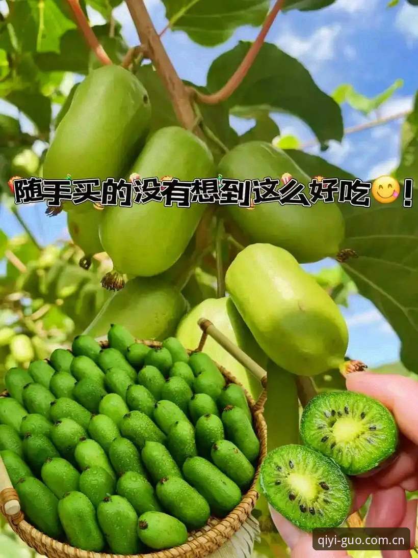 奇异果体育最新版本常见问题 奇异果体育最新版本常见问题有哪些?如何解决?