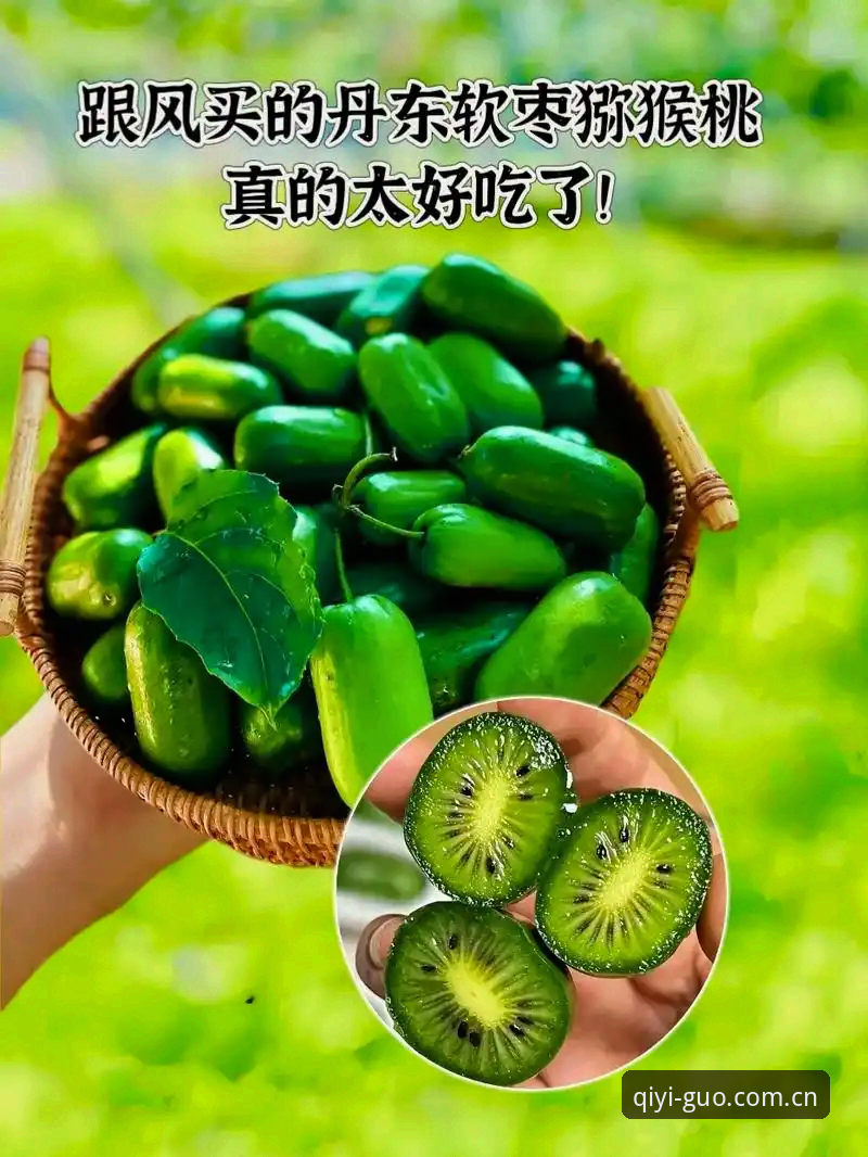 奇异果体育平台实用指南：2026最新版本功能与体验全解析